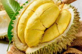 Giá sầu riêng hôm nay 1/1/2025: Sầu Thái A có giá 205.000 đồng/kg