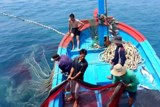 Hướng tới xây dựng ngành thủy sản bền vững
