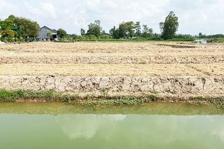 Đồng Tháp tăng cường kiểm tra, xử lý việc sử dụng đất không đúng mục đích