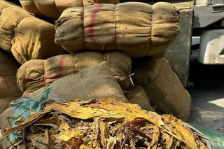 Cao Bằng: Liên tiếp phát hiện, bắt giữ 2 vụ vận chuyển nguyên liệu thuốc lá nhập lậu
