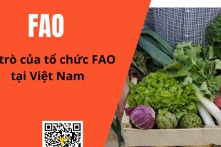 Tổng Giám đốc FAO đánh giá cao thành tựu xoá đói giảm nghèo, nâng cao đời sống, phát triển nông nghiệp của Việt Nam
