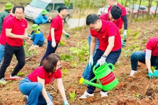Agribank Nam Thanh Hóa tặng 10.000 cây giống cho người dân