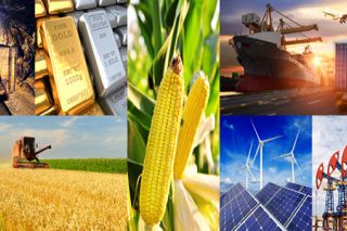 Chỉ số MXV-Index giảm thêm 0,1% về 2.290 điểm - giá ngô lao dốc, giá dầu tăng