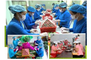 Đồng Tháp: Doanh thu từ làng nghề, làng nghề truyền thống đạt khoảng 2.042 tỷ đồng/năm
