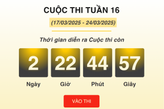 Hơn 7.000 lượt thi “Chống hàng giả và lừa đảo trực tuyến” tuần 16