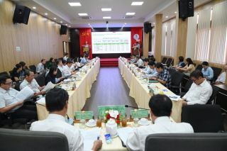 Năm 2025 các công ty của VRG sẽ thu mua trên 100.000 tấn cao su