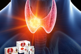 Những điều cần biết về kích thước của u tuyến giáp và giải pháp Ích Giáp Vương