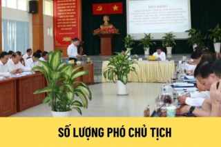 Bộ Nội vụ phải trình Chính phủ Nghị định quy định số lượng Phó Chủ tịch UBND tỉnh, xã trước ngày 30/6