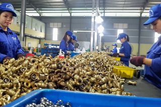 Tăng cường quản lý nguyên liệu đầu vào cho sản xuất hàng hóa xuất khẩu, ngăn chặn gian lận xuất xứ