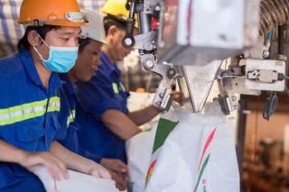 PVCFC báo lãi hợp nhất trước thuế quý I/2025 đạt 447 tỷ đồng nhờ sản lượng tiêu thụ tăng mạnh