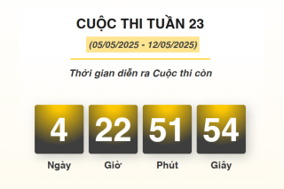 Hơn 6.000 lượt thi “Chống hàng giả và lừa đảo trực tuyến” tuần 23
