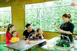 Vĩnh Phúc đẩy mạnh phát triển nông, lâm, thủy sản gắn với đa dạng hóa thị trường tiêu thụ