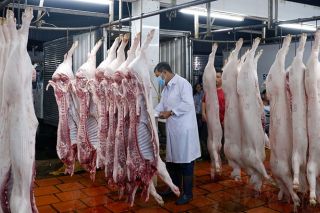 Hà Nội vẫn gặp khó trong kiểm soát hoạt động giết mổ động vật