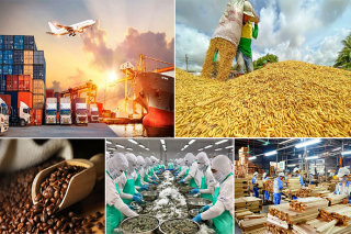 Việt Nam là đối tác thương mại tin cậy của thế giới