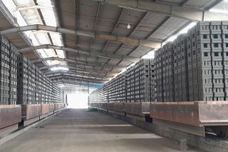 Vi phạm trong lĩnh vực môi trường, một công ty bị phạt 320 triệu đồng