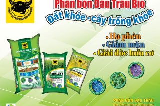Hành trình đưa vi sinh vật vào phân bón Đầu Trâu Bio-Canxi