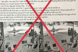 Cảnh báo tình trạng lan truyền tin giả về bắt cóc trẻ em để lừa đảo