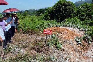 Tuyên Quang: Nguy cơ dịch tả lợn Châu Phi lây lan trên diện rộng rất cao