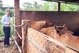 Đắk Lắk: Hơn 3.000 tỷ đồng vốn vay tín dụng chính sách cho hộ nghèo, hộ cận nghèo