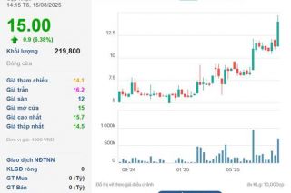 Tập đoàn MCST chuẩn bị trả cổ tức tỷ lệ 70%