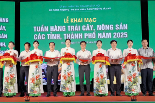 50 đơn vị tham gia ‘Tuần hàng trái cây, nông sản các tỉnh, thành phố năm 2025’