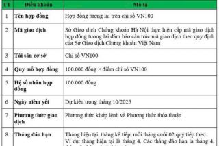 Hợp đồng tương lai VN100 sẵn sàng ra mắt tháng 10/2025