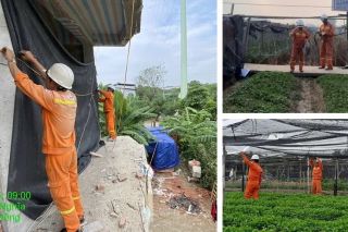 Chủ động ứng phó bão số 9: Đảm bảo an toàn lưới điện truyền tải phía Bắc