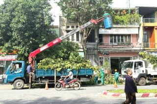 Đà Nẵng: Triển khai đồng bộ phương án phòng, chống bão Bualoi
