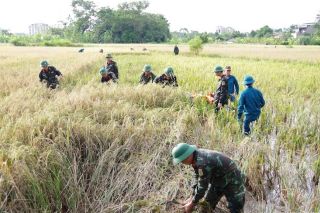 Thanh Hóa huy động hơn 2.000 cán bộ, chiến sĩ hỗ trợ người dân ứng phó bão số 10