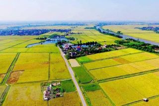 Cần Thơ tăng cường công tác rà soát, chuẩn hóa dữ liệu đất phi nông nghiệp
