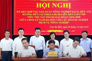 Quảng Trị: Đẩy mạnh hợp tác phát triển nông nghiệp hữu cơ theo chuỗi liên kết tại xã Nam Ba Đồn