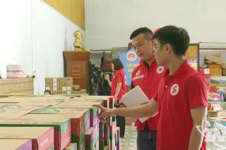 Lũ lụt tại Thái Nguyên: Hội Chữ thập đỏ điều phối hơn 150 tấn hàng cứu trợ, tổng trị giá 8 tỷ đồng