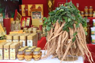 Bệ phóng đưa sản phẩm OCOP Bắc Ninh vươn xa