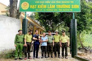 Quảng Trị: Tiếp nhận cá thể Hồng Hoàng quý hiếm để cứu hộ