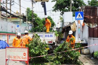 EVNHCMC chủ động đảm bảo an toàn điện trong mùa mưa bão