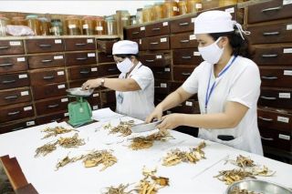 Tây Ninh phát triển y học cổ truyền gắn với chăm sóc, bảo vệ và nâng cao sức khỏe Nhân dân
