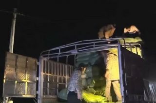 Tỉnh ủy Cao Bằng chỉ đạo điều tra khẩn cấp nghi vấn "thả mốc" và bao che buôn lậu