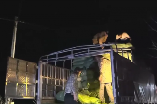 Ban chỉ đạo 389 quốc gia yêu cầu kiểm tra, xác minh tình trạng buôn lậu tại Cao Bằng