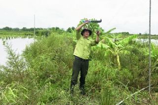 Thanh Hoá tăng cường quản lý hành vi săn, bẫy bắt động vật hoang dã