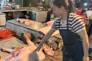 Hà Nội: Khởi tố đường dây tuồn thịt lợn nhiễm dịch ra chợ