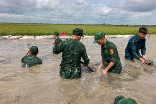 Biên phòng Tây Ninh giúp dân gia cố, khắc phục sự cố vỡ đê điều chống lũ