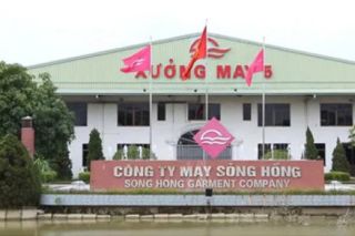 May Sông Hồng (MSH) sắp tạm ứng cổ tức, gia đình Chủ tịch Bùi Đức Thịnh dự thu gần 200 tỷ đồng