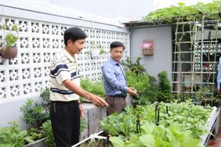 Nông nghiệp đô thị mở ra không gian xanh và thực phẩm sạch