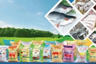 HoSE sắp đón cổ phiếu tân binh ngành thủy sản