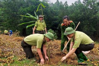 Lào Cai: Công tác quản lý, bảo vệ và phát triển rừng đạt nhiều kết quả tích cực