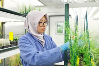 Các nhà khoa học hàng đầu thế giới hiến kế nuôi sống 10 tỷ người tại Tuần lễ Khoa học Công nghệ VinFuture 2025