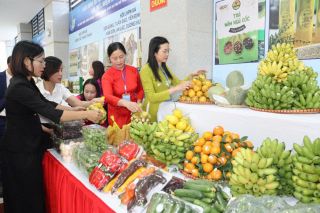 Bắc Ninh: Thu nhập bình quân đầu người hơn 71 triệu đồng/người/năm