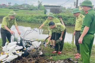 Nghệ An tăng cường truy quét, tiêu hủy hơn 21.000m lưới bẫy chim trời