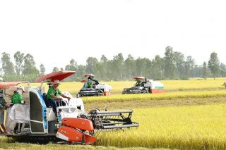 Tái cơ cấu nông nghiệp: Phát triển xanh, bền vững và giá trị gia tăng cao