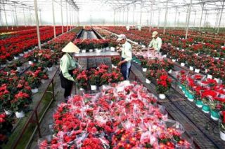 Lâm Đồng: Chương trình Xúc tiến đầu tư năm 2026 tập trung vào các ngành trụ cột chiến lược
